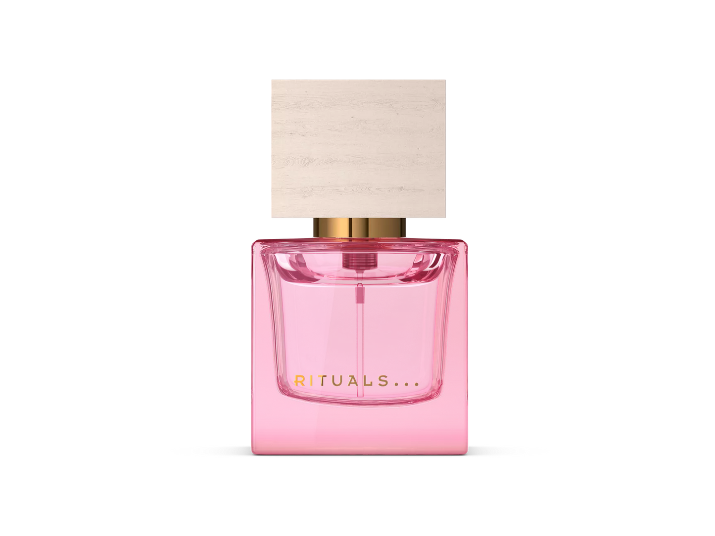 Travel - Rêve de Hanami