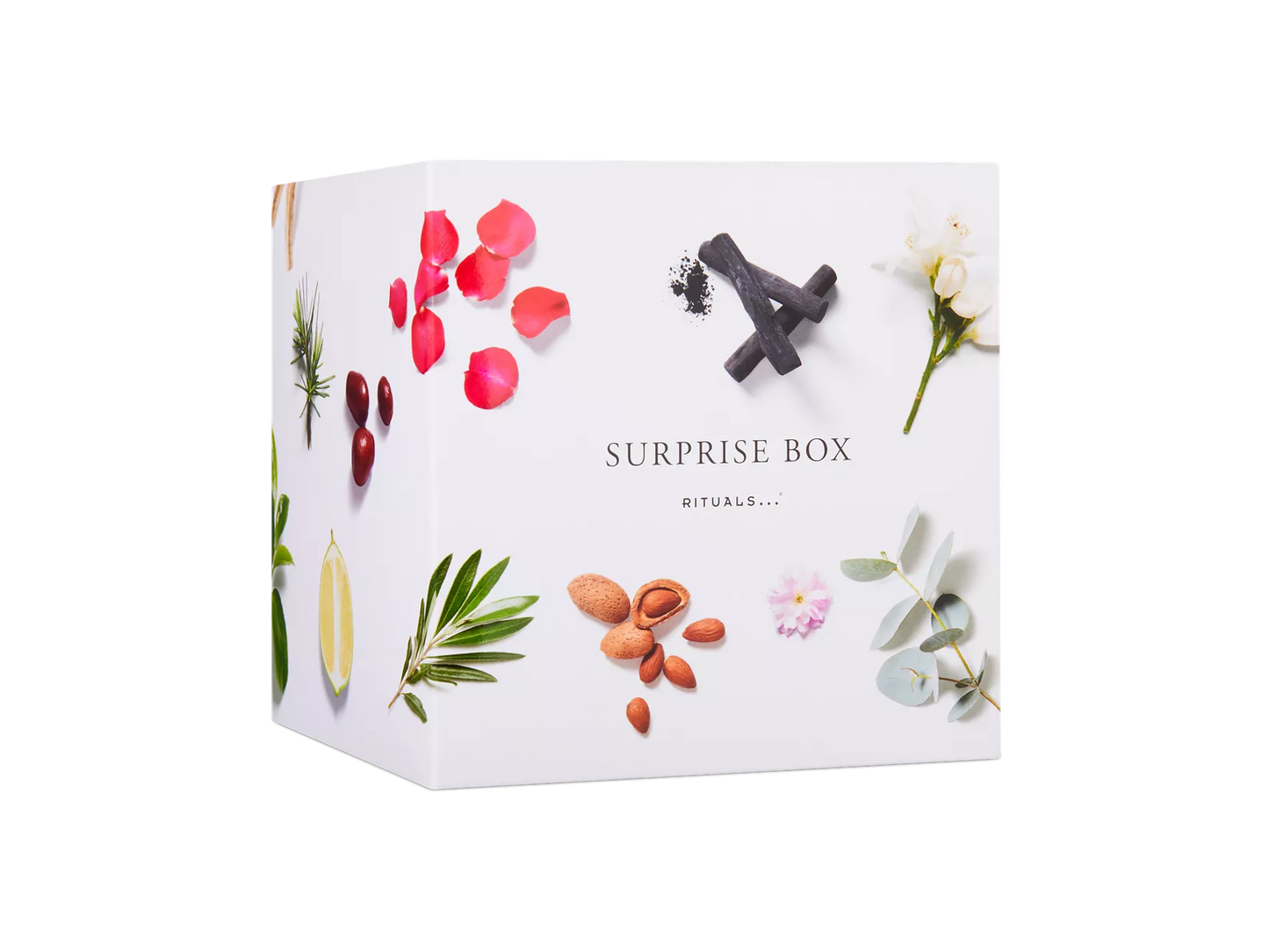 Outlet Surprise Box