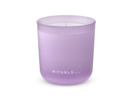 The Dream Collection Scented Candle daydreamer, 290 gr