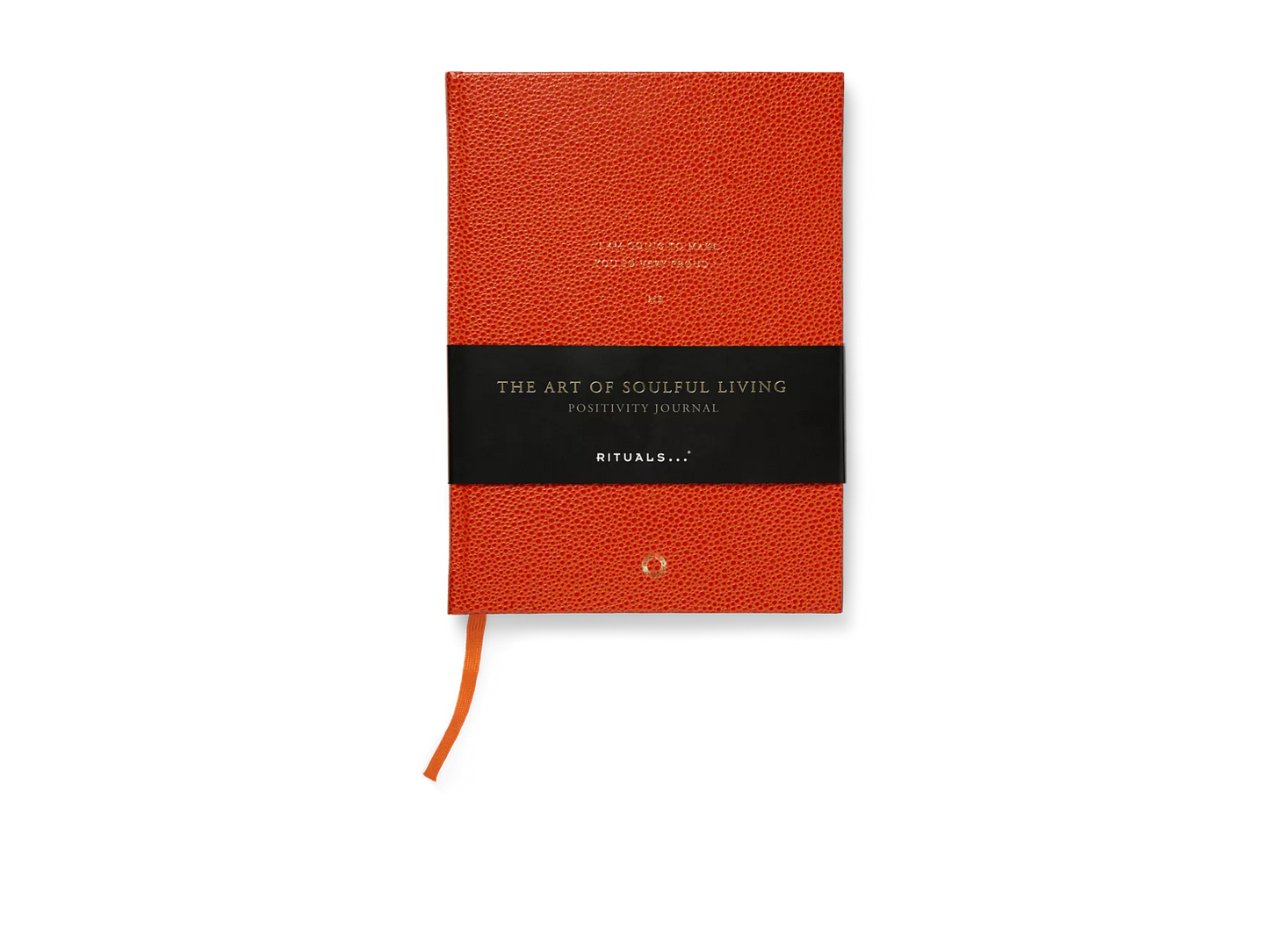 Positivity Journal