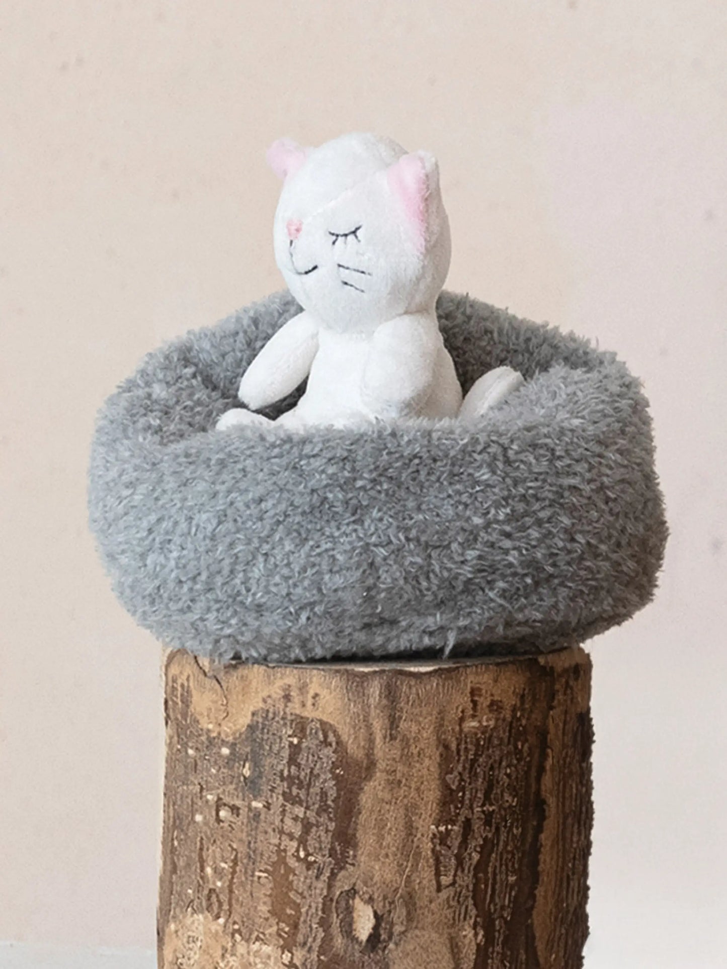 Beanbag Cat